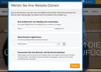Id 455 03 Website Domain