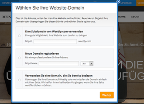Id 455 03 Website Domain