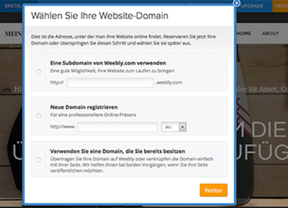 Id 455 03 Website Domain