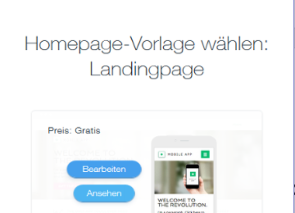 Id 728 Screenshot Wix Vorlage Landing Page Ansehen