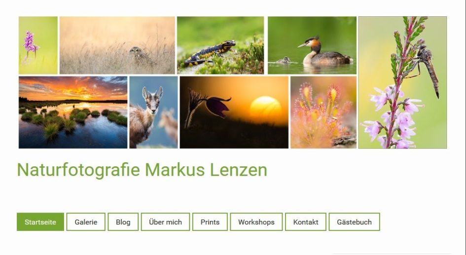 Ara322 Platz 6