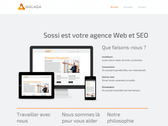 Consulting Consulting